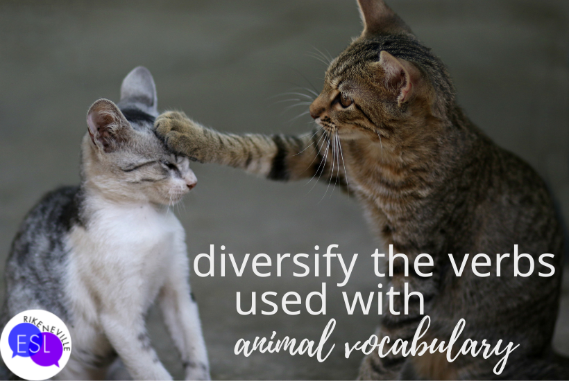 Use diverse verbs with your animal vocabulary