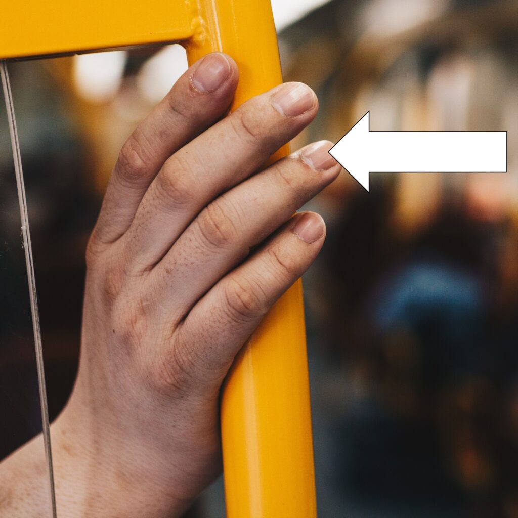 The fingers of a hand are shown with an arrow pointing to the fingernail of the ring finger to illustrate which body vocabulary term to focus on.